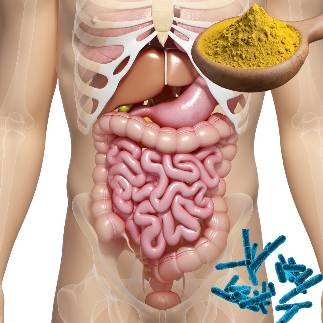 Berberine: Health Benefits, Side Effects And Dosage