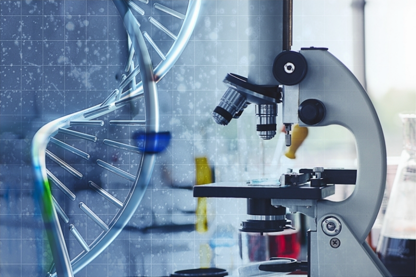 NAD+ Supplements: NMN vs NR Health Benefits, Risk And Dosage