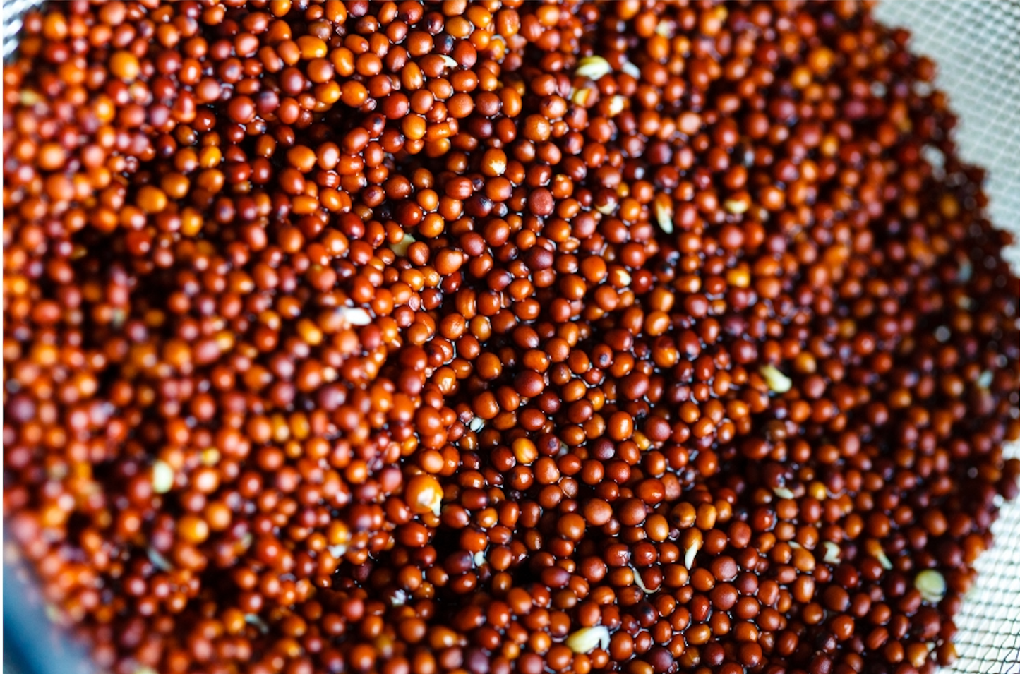 Sulforaphane: Health Benefits and Side Effects