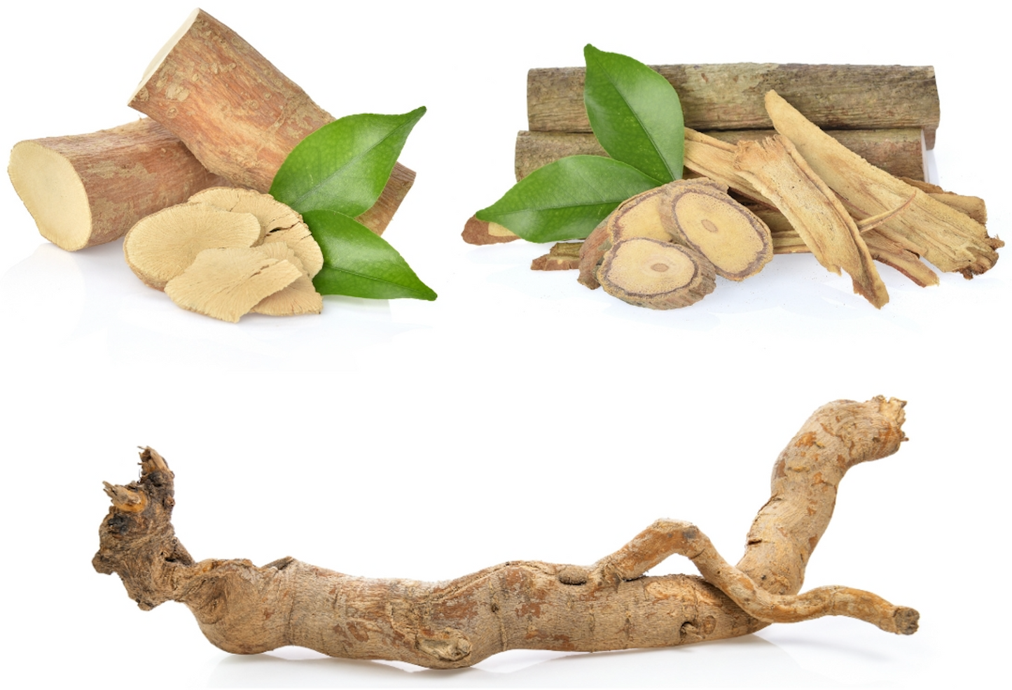 Tongkat Ali and Men's Health: Testosterone, Energy & Fertility