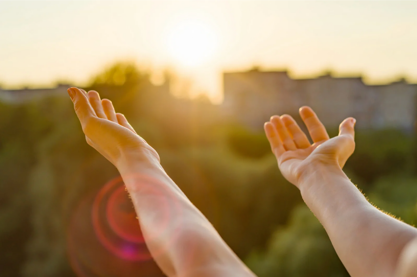 Why Morning Light Is So Important for Your Health