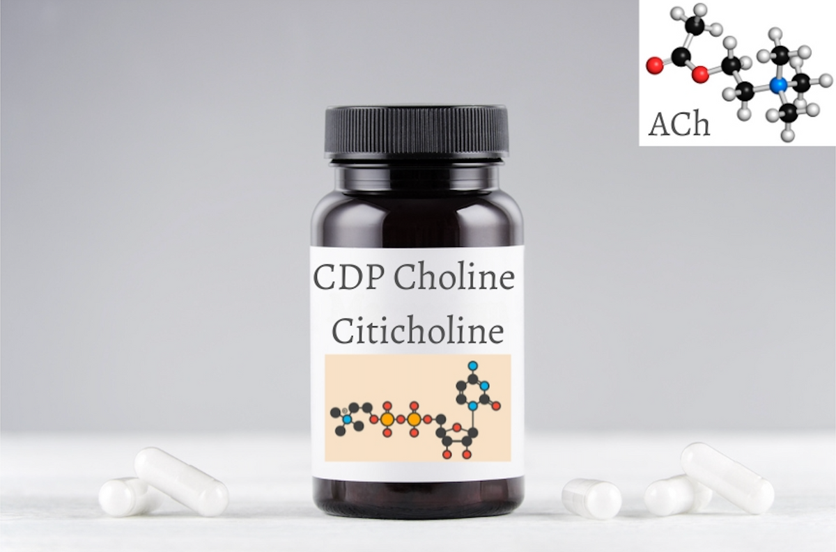 CDP Choline Health Benefits, Dose and Side Effects wyattandfreunde
