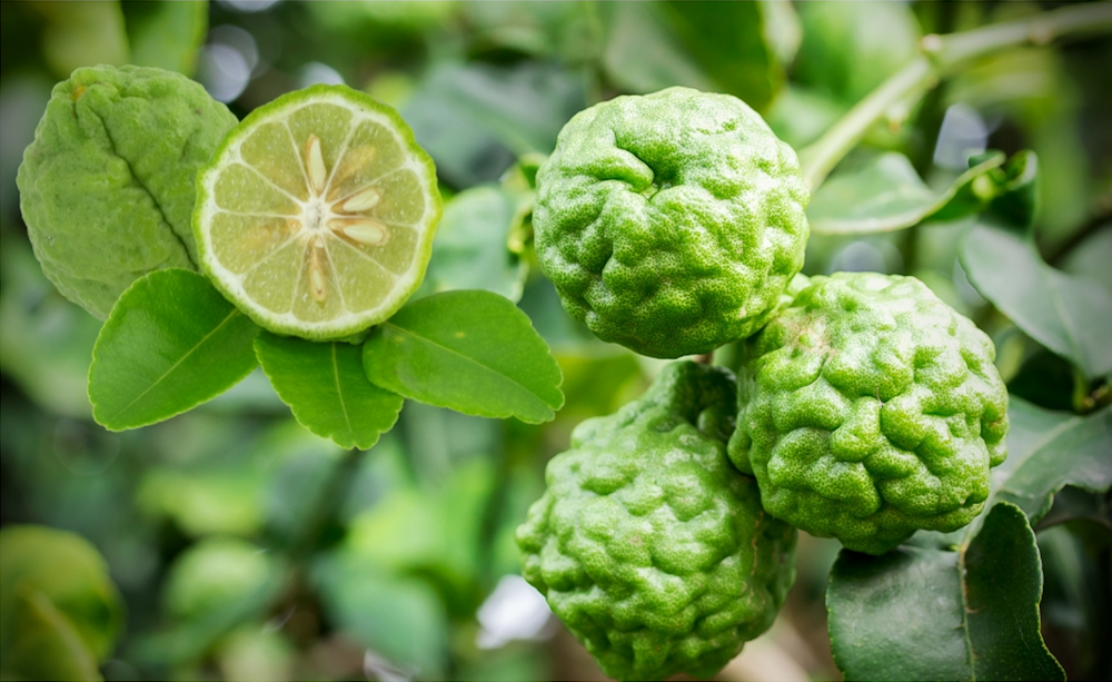 Citrus Bergamot: Health Benefits, Side Effects and Dosage